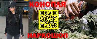 ПСИЛОЦИБИНОВЫЕ ГРИБЫ Аргун