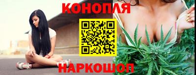 ПСИЛОЦИБИНОВЫЕ ГРИБЫ Аргун